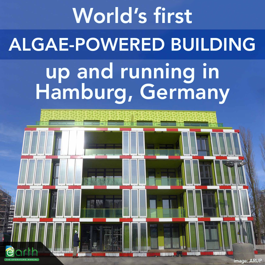 Algae building Hamburg. Solar Orchid, Germany: designed by SPLITTERWERK Architects. SPLITTERWERK and Arup’s SOLARLEAF. Biq. Bi q
